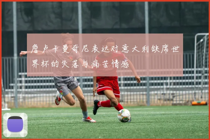 詹卢卡曼奇尼表达对意大利缺席世界杯的失落与痛苦情感